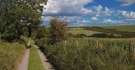 土壤環境污染治理的國際經驗與防治服務體系建設